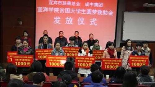 宜宾生活爆料事件最新情况,真相大白，疑云散去